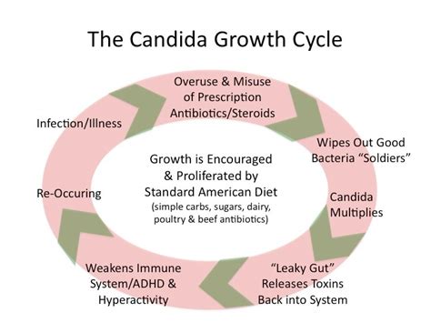 What Causes Yeast Overgrowth?