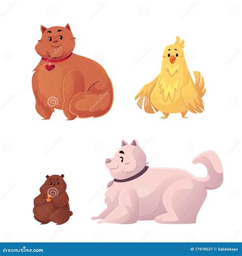 how to hamster overweight safely 8