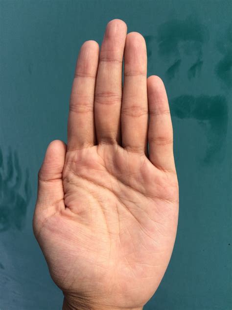 무료 이미지 : 화면, 남자, 사람들, 냄비, 남성, 어린, 손가락, 반사, 손바닥 안에 감추다, 불교, 종교, 케어, 푸른 ...