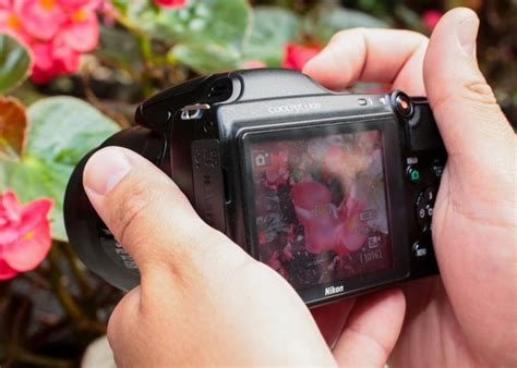 Nikon Coolpix L820 review: 30x zoom on the cheap - CNET