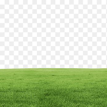 grass png images pngegg