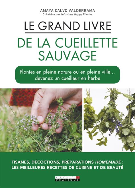 Le Grand Livre De La Charcuterie Gratuit 7