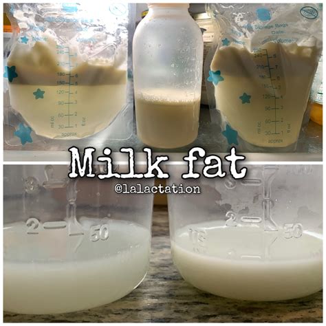 Thick Cream Milk Fat at Gary Norris blog