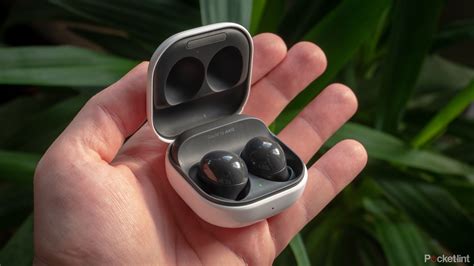 Senkaimon Type Soul Features Are Changing The Game For Players