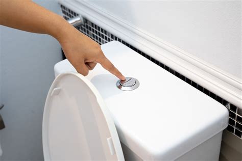 10 Types of Toilets Homeowners Should Know