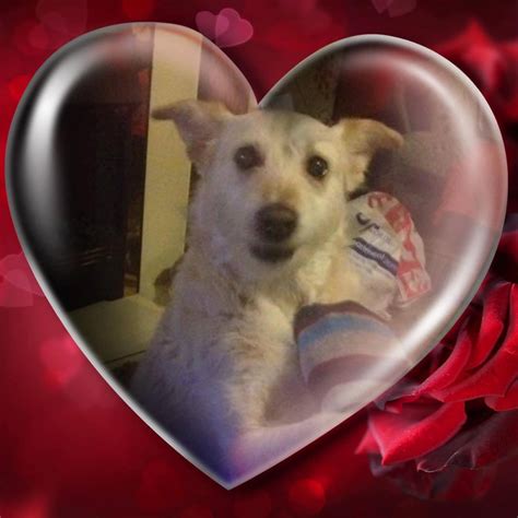 In Memory Of An Angel. added a... - In Memory Of An Angel.