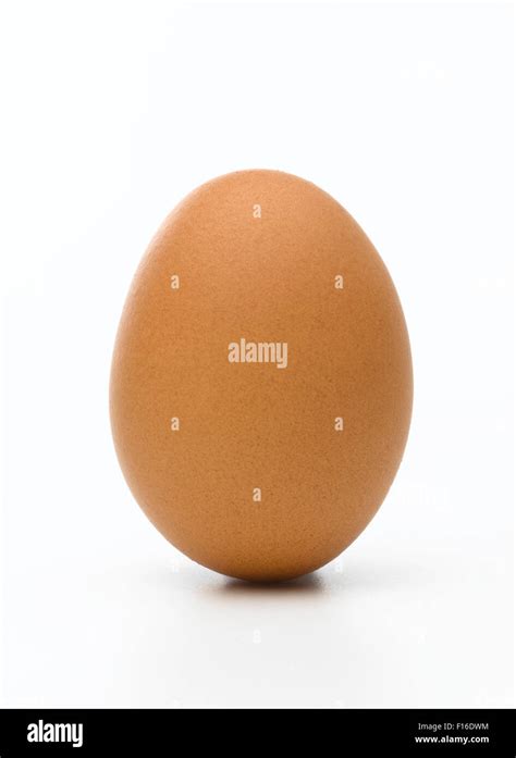 Isolated single egg Stock Photo - Alamy
