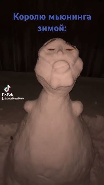 Король мьюнинга зимой🤨 - YouTube