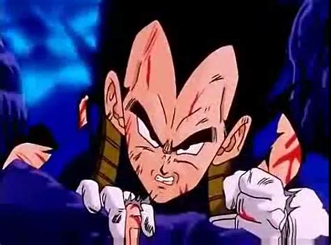 Vegeta Hurt - The Bioneer