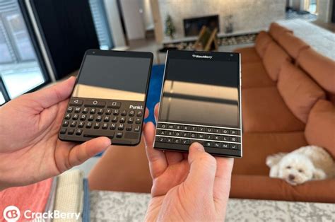 cute blackberry  phone