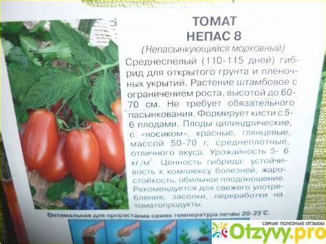 Томаты непас: отзывы, фото, характеристики, описание сорта, урожайность