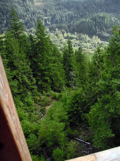 Nude Hiking and Soaking in the Pacific Northwest: Lower Lewis Creek, a