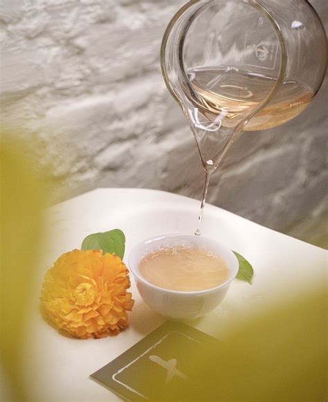 Educational Tea Club Subscription Box | Luxury Membership | Tea Drunk