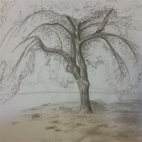 drawing  sminn  deviantart