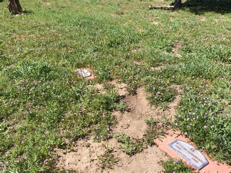 Car Accident Linda Lovelace Death - Linda Lovelace Death / The film