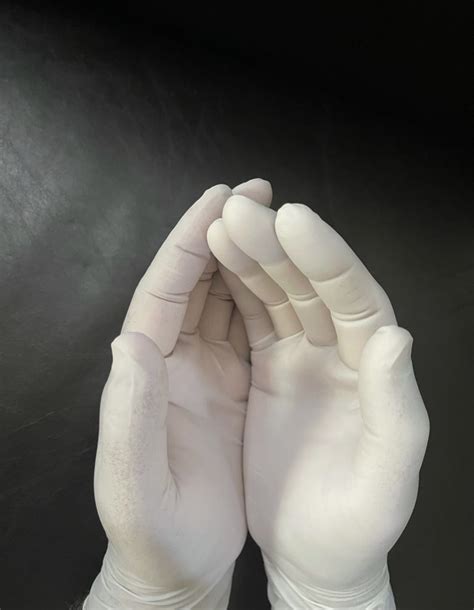 Latex Gloves – Maxbiochem