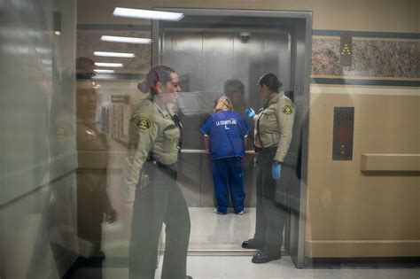 The Inmates Of Florida's Prisons: Unveiling Untold Stories - Jhu