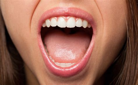 Microbiota Oral – Todo Lo Que Debes Saber