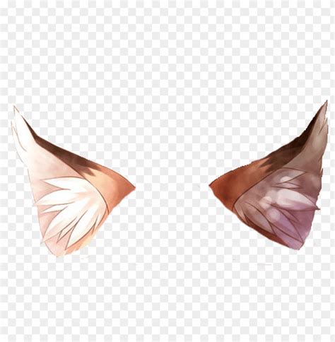 Free download | HD PNG лисьи уши PNG transparent with Clear Background ...