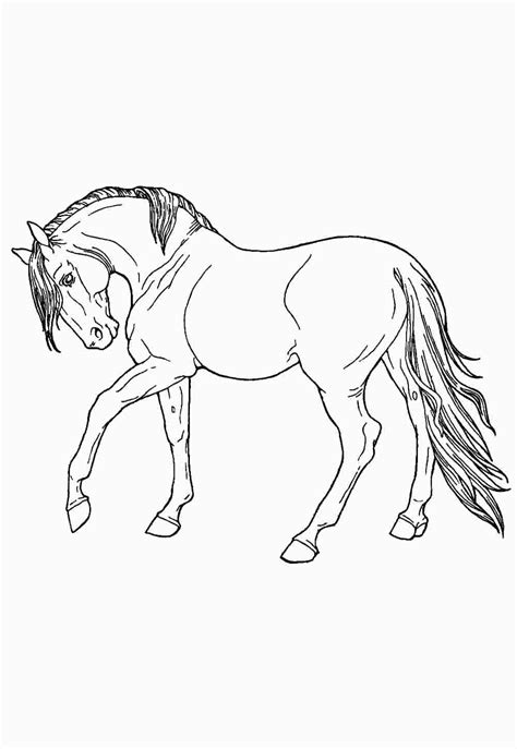 Desenhos De Cavalo Para Imprimir - 8