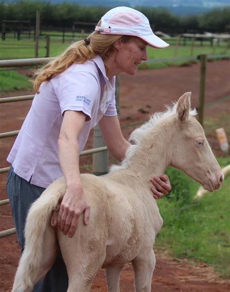 Building Bonds: Early Training Tips for Healthy Foal Development - 4theloveofhorses