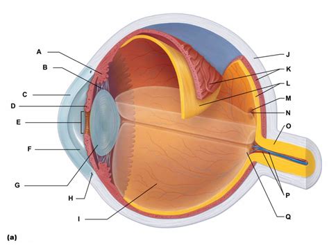 Eye Diagram | Quizlet