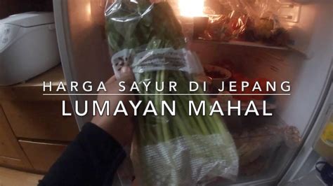 biaya hidup  jepang bagian  harga sayur youtube