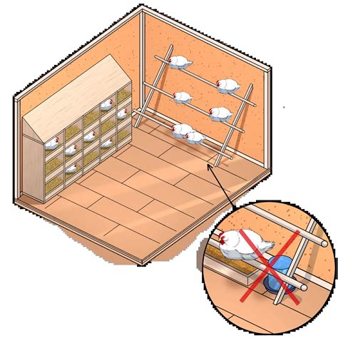 Building a Safe and Comfortable Chicken Coop Housing - Easy Coops™