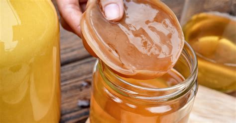 Como fazer kombucha: aprenda 6 receitas fáceis - Minha Vida