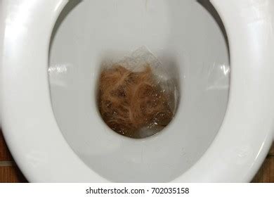 how to stop my dog from moulting