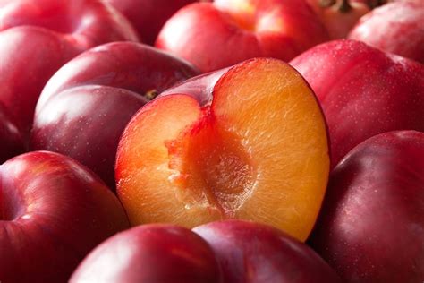 Benefícios Da Ameixa Vermelha - 6 benefícios incríveis da ameixa natural e seca para a saúde ...