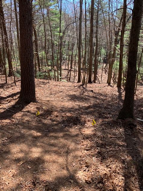 Running Cedar - Deep Gap, North Carolina | UDisc Disc Golf Course Directory