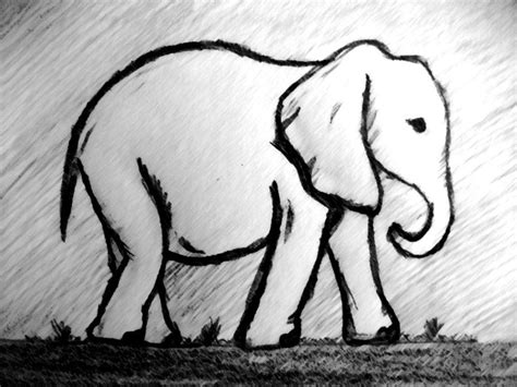 baby elephant sketch   beautifulelephant  deviantart elephant sketch elephant drawing