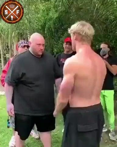 Logan Paul knockout : r/celebrityknockout