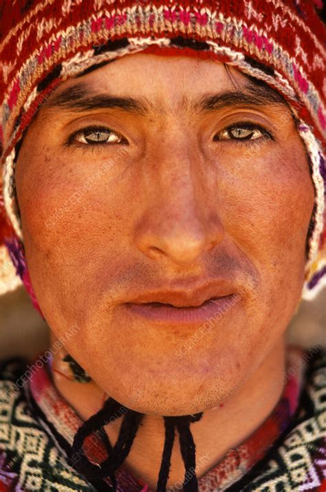 peruvian man stock image  science photo library