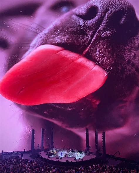 Jay Sweet (@imajs) • Instagram photos and videos