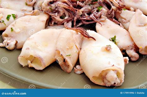 Squid dish stock photo. Image of cuisine, octopus, natural - 17991996