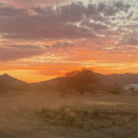 Sierra Vista Scoop | Sierra Vista AZ