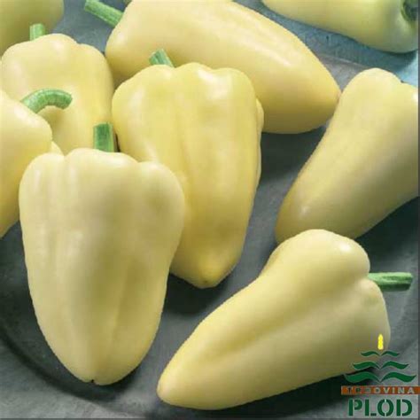Paprika SOMBORKA - Trgovina Plod