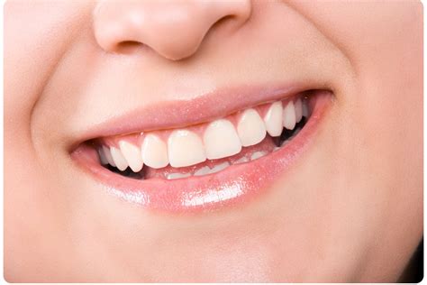 dientes revista la vida en rosa lvr