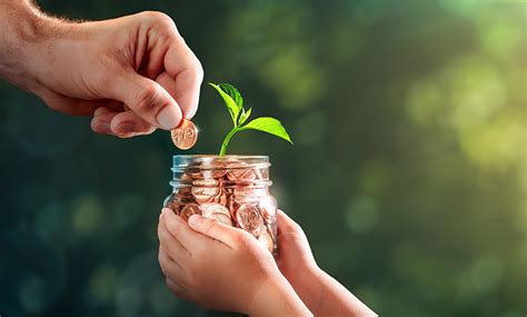 myer foundation soars  ethical investment portfolio