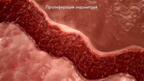 Клайра - YouTube