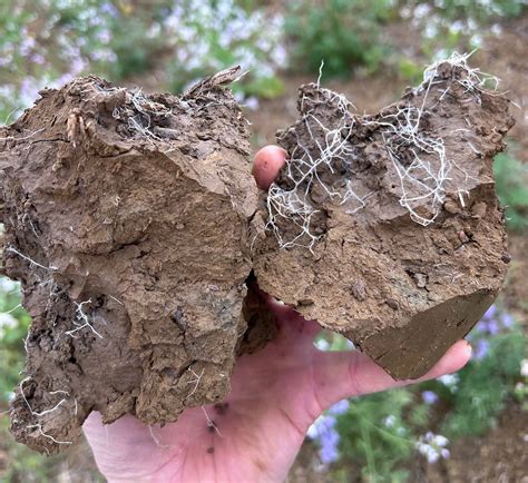 effective soil analysis potash development association pda