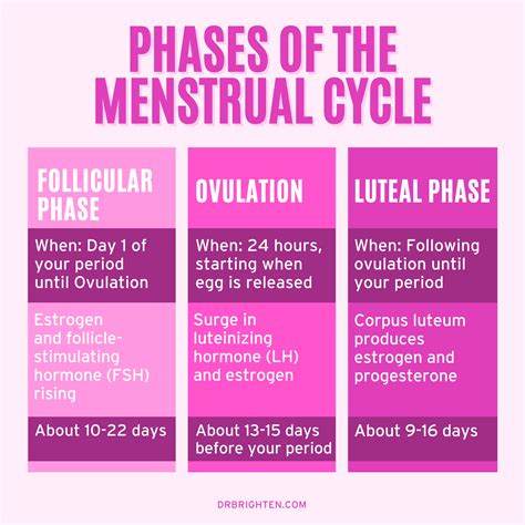 Menstrual Cycle Introduction Duration Phases Biology - vrogue.co