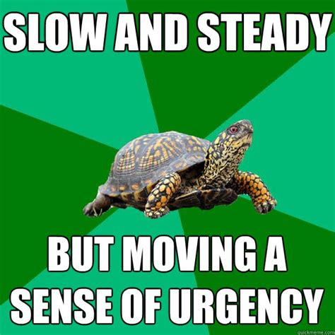 Slow Turtle Meme | Humourge