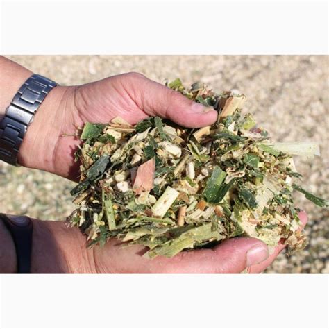 Купим силос кукурузный, Киев — Agro-Ukraine