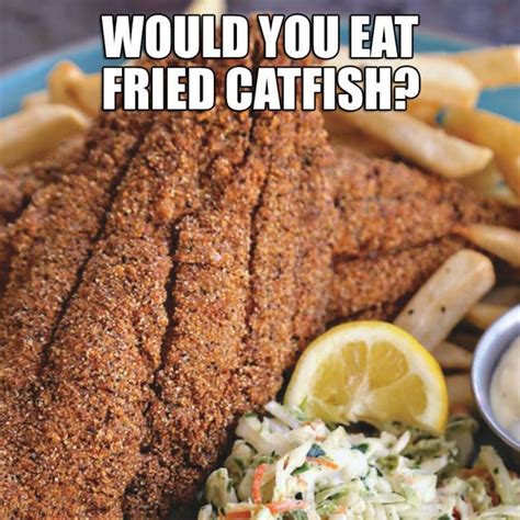 Southern Fried Catfish – Recipes Ideas