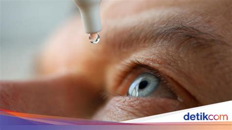 iris mata pengertian fungsi  ragam warnanya