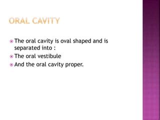 Normal oral mucosa.pdf. lecture oral medicine | PDF