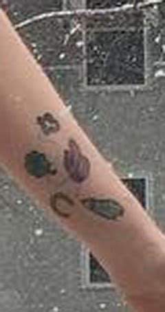 Lena Dunham Yorkie Tattoos